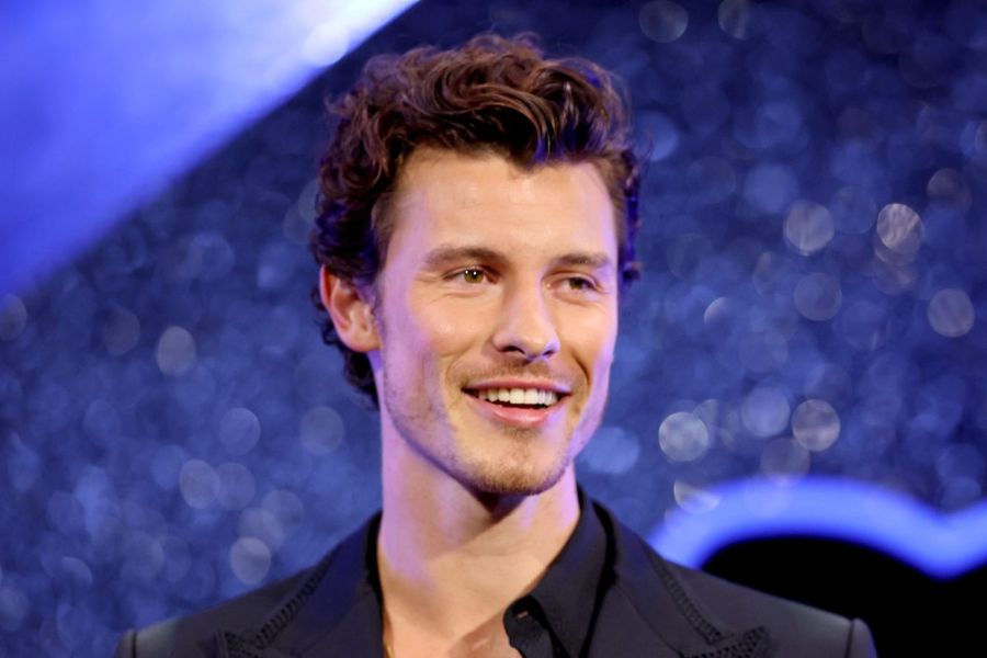 Shawn Mendes Albümünü Erteledi