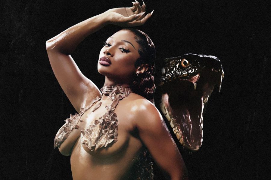 Megan Thee Stallion Remix İçin Kolları Sıvadı