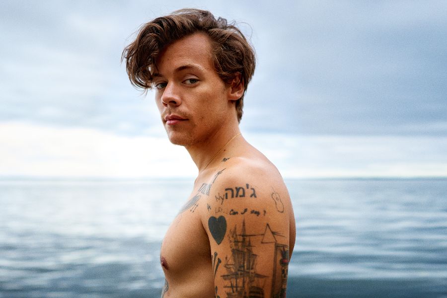 Harry Styles Kariyeri'nin Zirvesinde